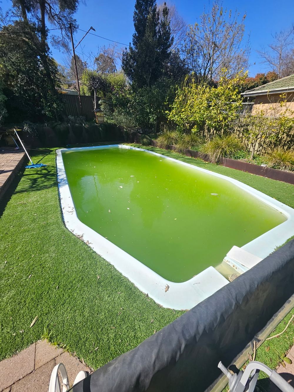 Green pool recovery in Canberra